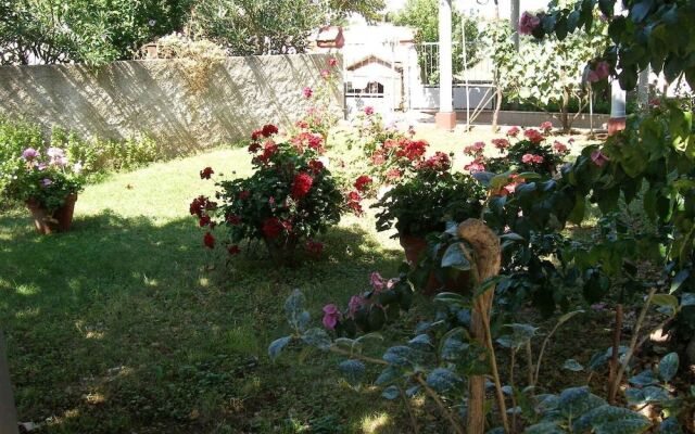 Apartments Violeta