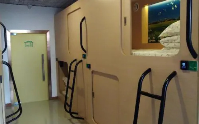 The Olive Tree Capsule Hostel