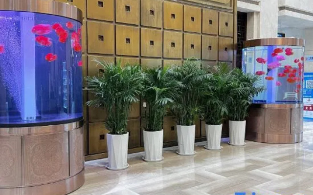 Qisheng Internation Hotel