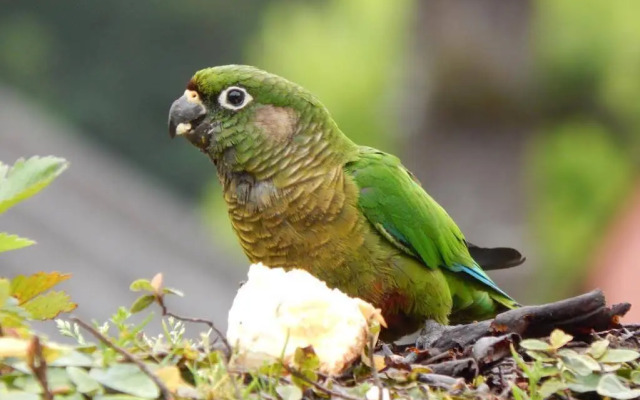 Hotel Aldeia da Serra