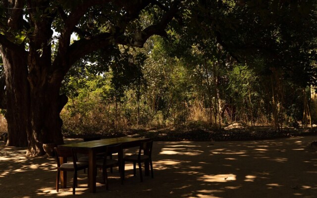 Bagh Tola, Bandhavgarh