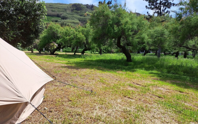 Bearsu Nature Almoxarife