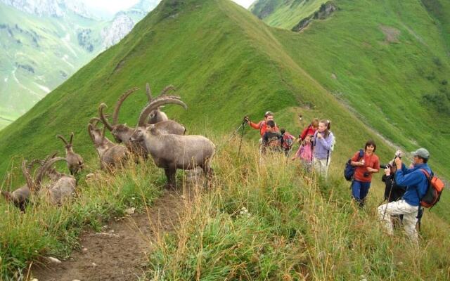 Village Vacances Les Cîmes du Leman
