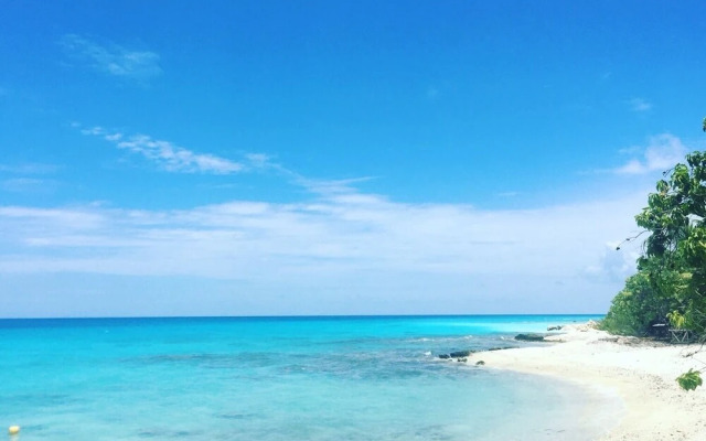 Le Fare Bleu