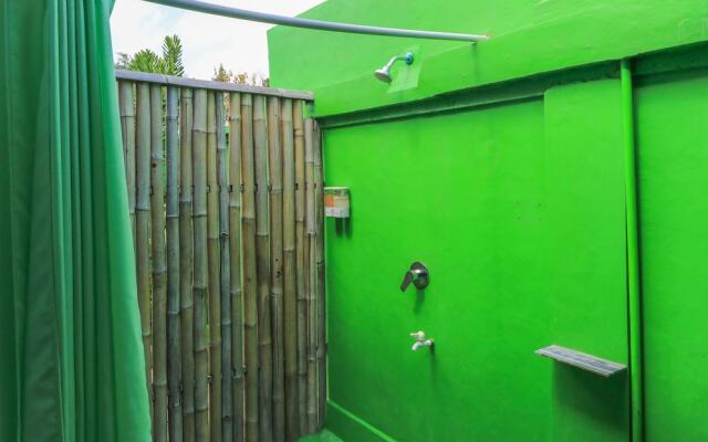 The Green Groves Hostel