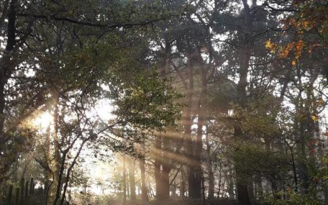 Inn The Woods - Private Stay