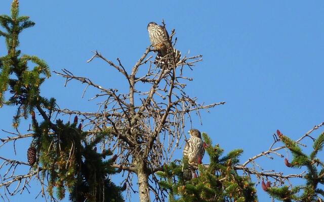 The Old Rectory Bed and Breakfast