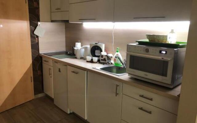 Tóparti Wellness Apartman