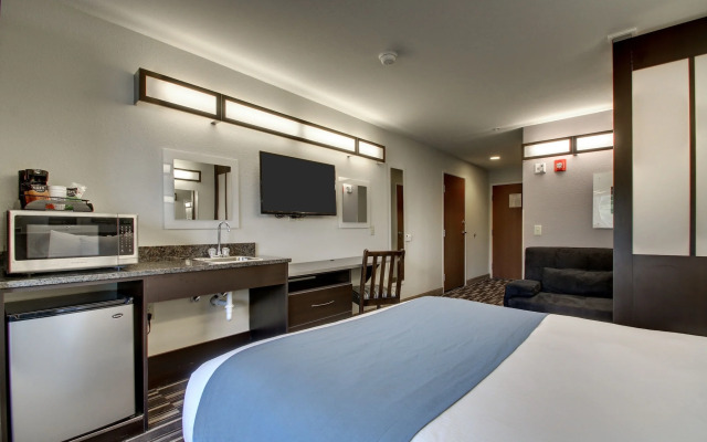 Microtel Inn & Suites by Wyndham Tuscaloosa Near University