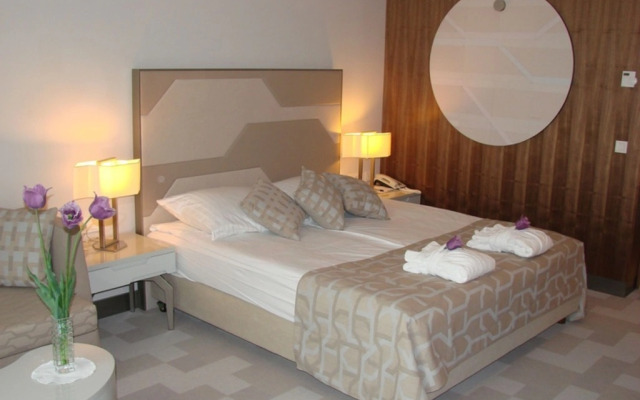 Hotel Terme - Terme Čatež