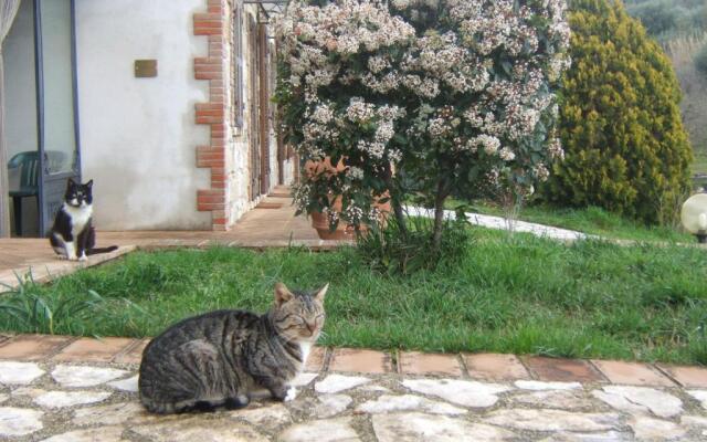 Agriturismo Casa Fibbianello