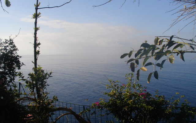 Inn & Art Madeira