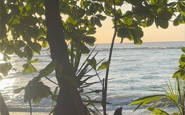 Surrounded By Trees In Front Of The Sea