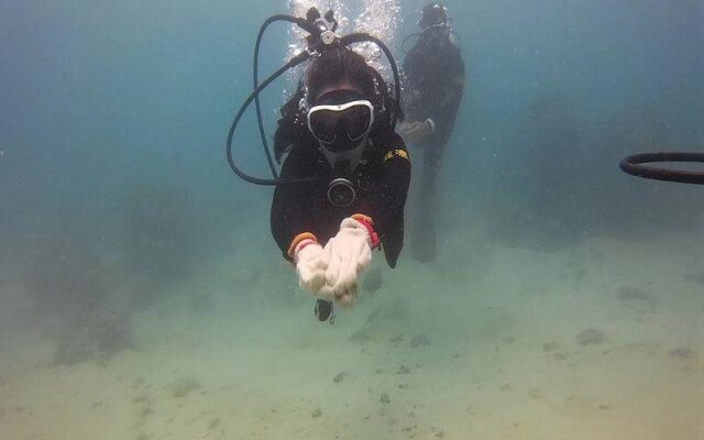 Atoll Dive Travel Center