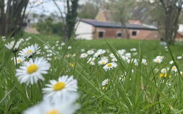 Beautiful 2bed Cottage in Knowle St Giles nr Chard