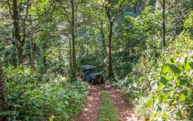Dare 5000 Nature Campz
