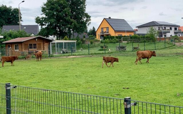 Ferienwohnung zur Dexter-Zucht Coswig (Anhalt)