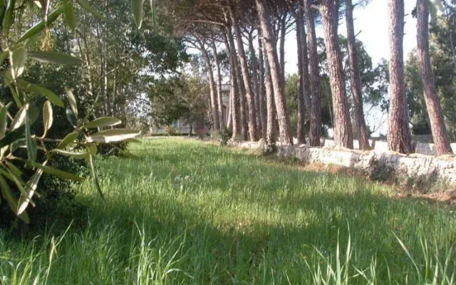 Masseria Fumarola