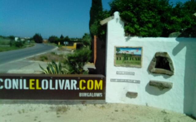 El Olivar de Roche Viejo