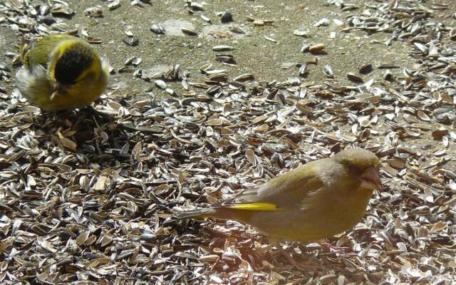 HummelCasa Ferienhaus Bayreuth