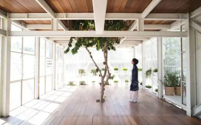 Rumah Atsiri Glamping – Outside – Karanganyar