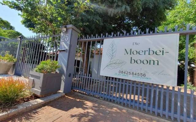 Die Moerbeiboom