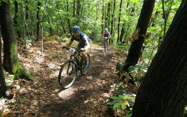 B&B Casa del Movimento Lento