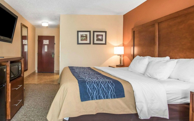 Comfort Inn Livingston