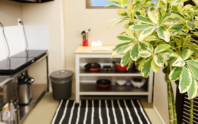 Briller Universal Japon