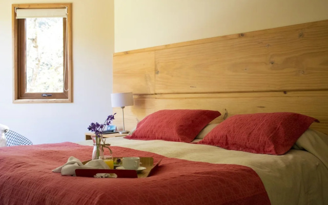 Hotel & Termas Huife