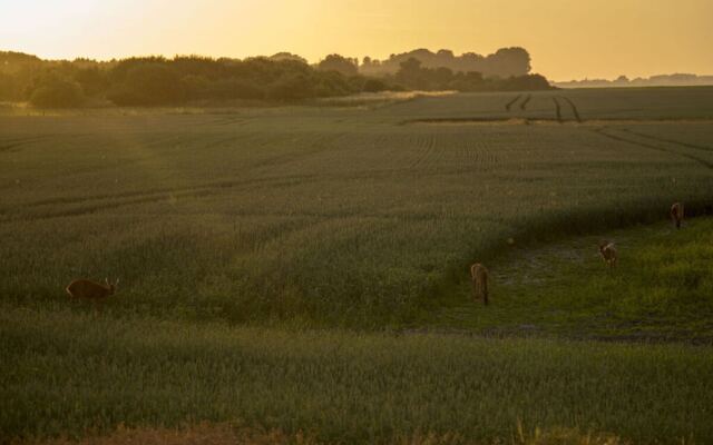 Dream Location in Maasholm