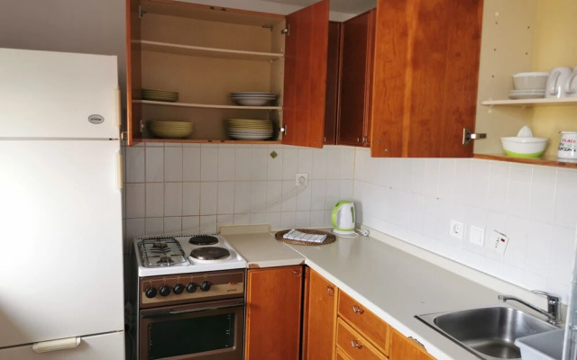 Dunajska Apartment
