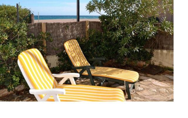 Paradis 31