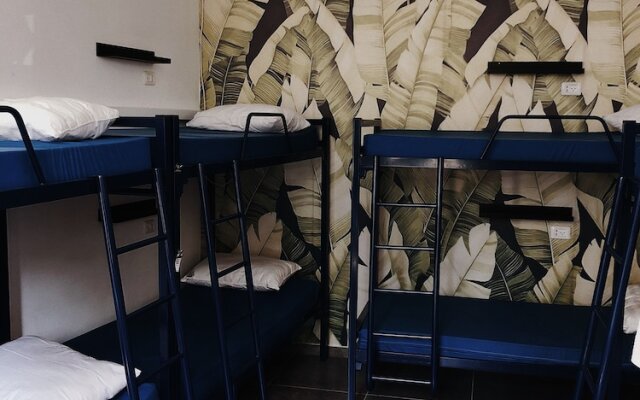 Jungle Jaffa Hostel Age 18 to 45