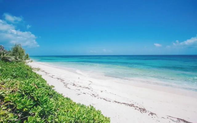 Flipper'S Haven: Tropical Retreat