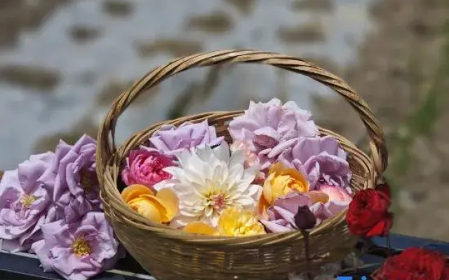 yubengNO.2yuanfangdejia