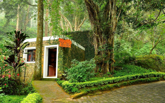 The Tall Trees Munnar