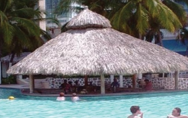 La Palapa