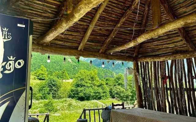 Qvis sakhli