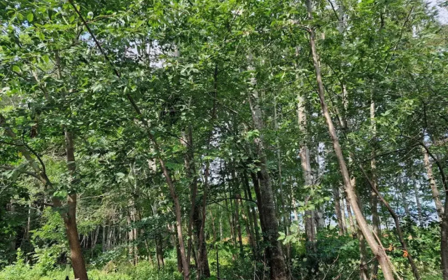 Great Location, Great Price!