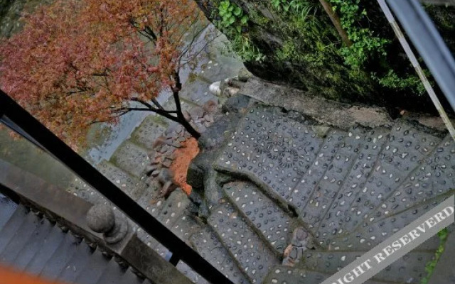 Shandao Wanwan Boutique Hostel