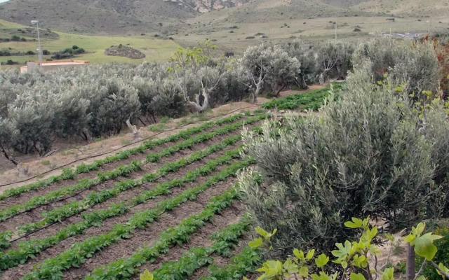 Los Palmitos Hospedería Rural