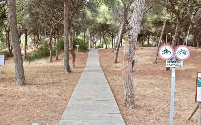 Apartamento Playa y Bosque