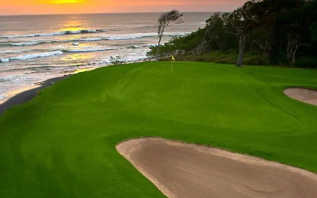 Villas VR Beachwalk Avellanas