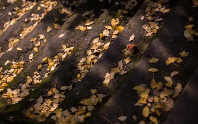 Blooming Lotus. Countryside villa.Yixing