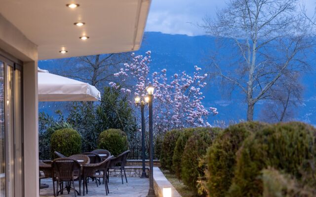 Akti Hotel Ioannina