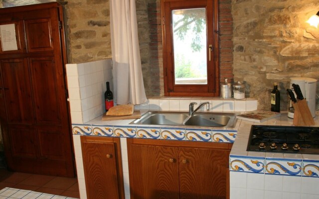 Cosy apartment in the well known Chianti area, with swimming pool and terrace.