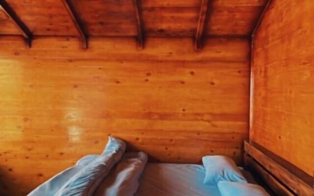 Shanty camp