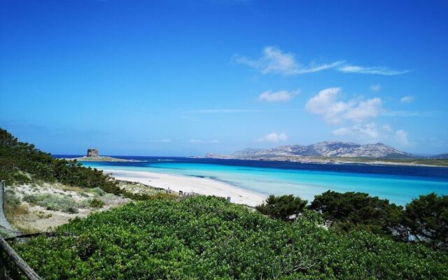 Ida Palace, new Deluxe Seafront Apartment