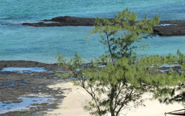 Constance Tekoma. Rodrigues